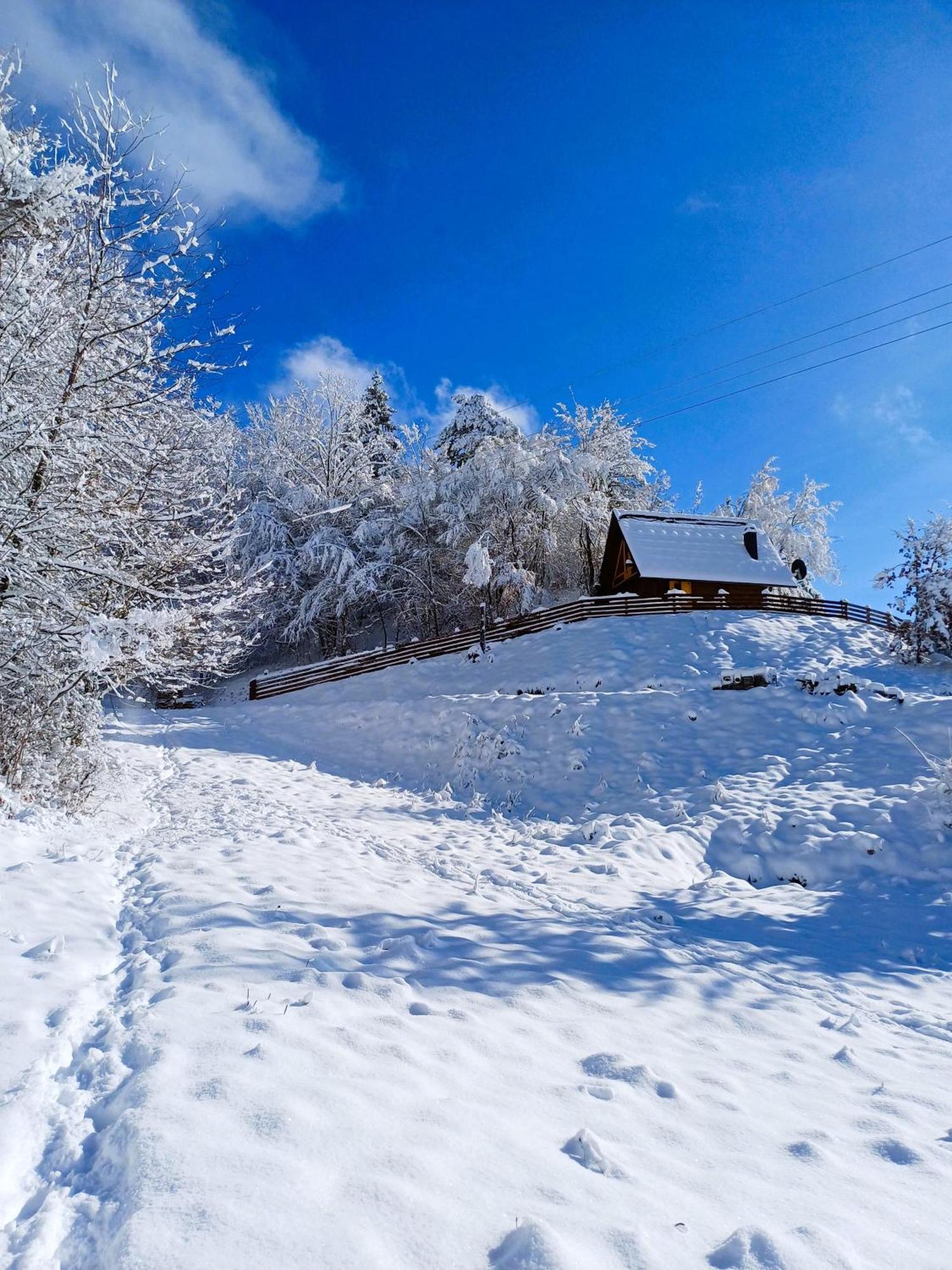 Drvene Kuce Suska - Wooden Houses Suska Zaovine Rom bilde